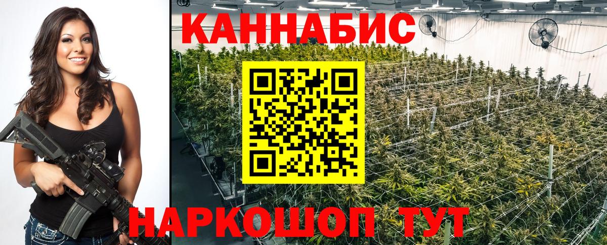 Марихуана конопля Кингисепп